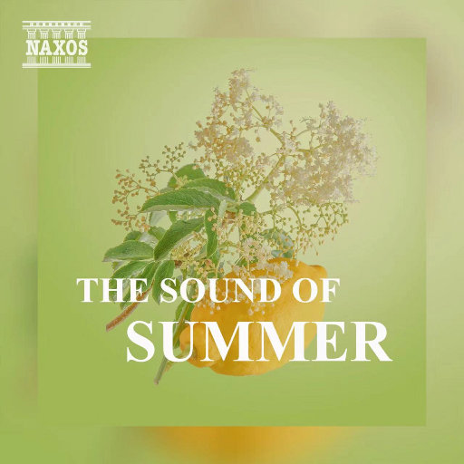 吴敏农场的驴全文阅读
